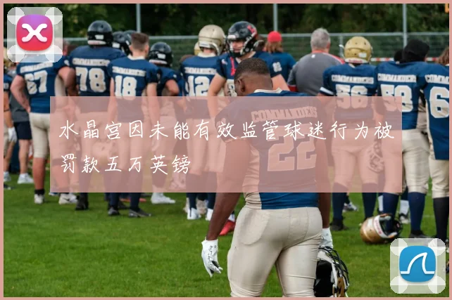 水晶宫因未能有效监管球迷行为被罚款五万英镑